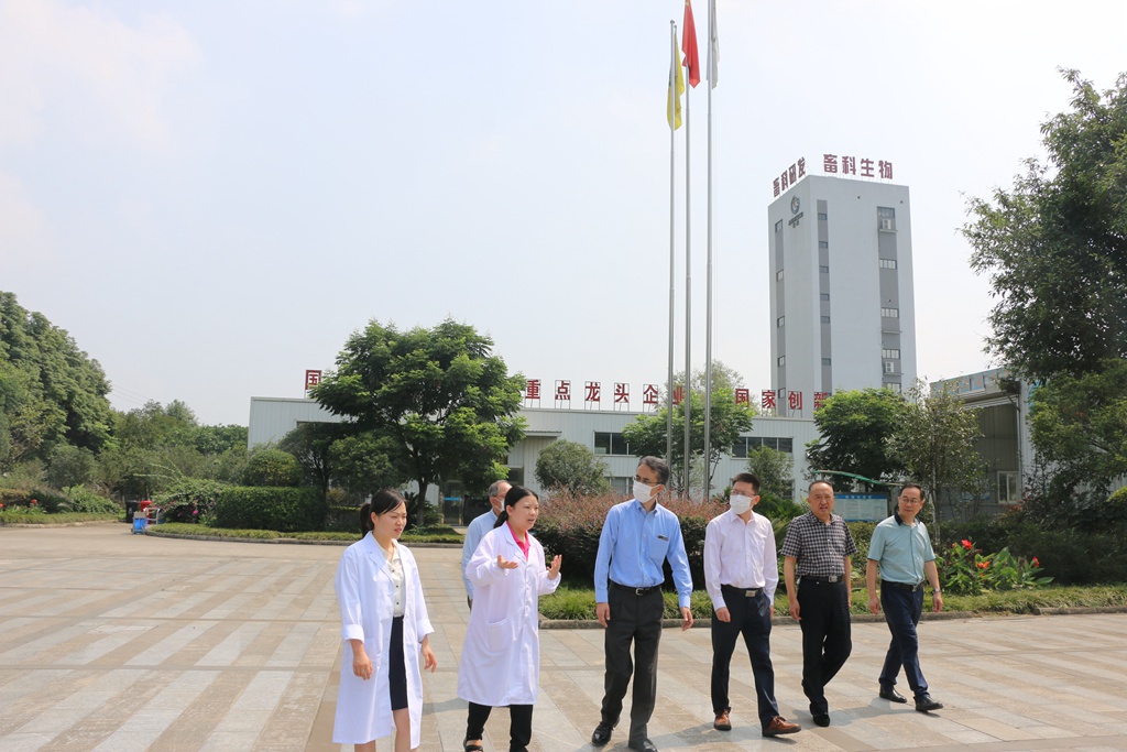 news04.jpg news04.jpg