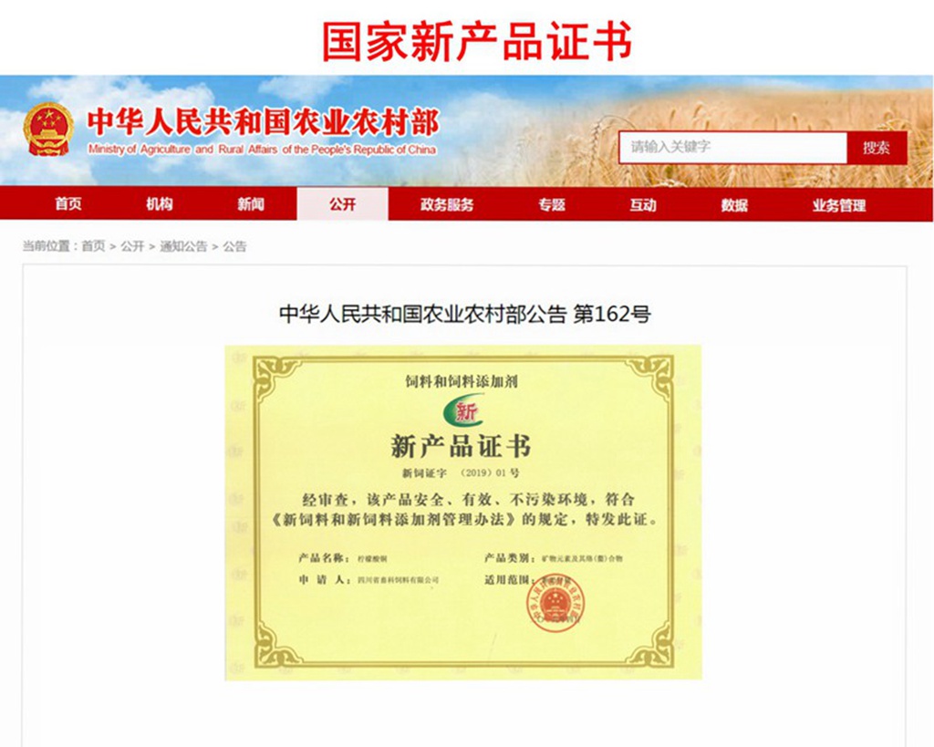 news20.jpg news20.jpg